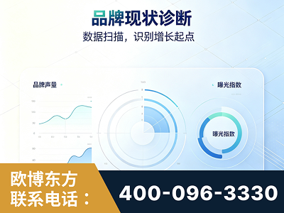 陇南-品牌现状诊断