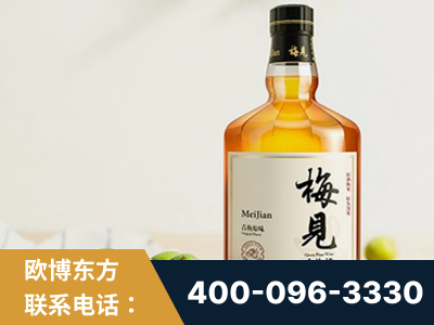 陇南-梅见青梅酒
