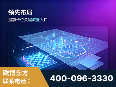 陇南-领先布局：于2024年初开启GEO业务的公司